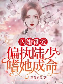 草莓奶昔小说闪婚锁爱：偏执陆少嗜她成命第13章