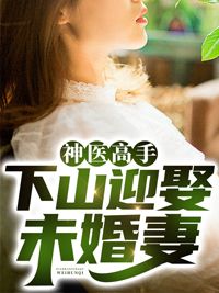 《神医高手：下山迎娶未婚妻》叶镇天江沐雪小说全部章节目录