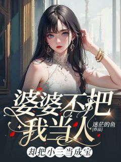 【完结版】《婆婆不把我当人，却把小三当成宝》主角小冉李明章节在线阅读