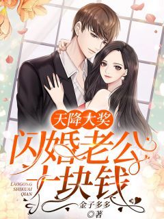 (全文在线阅读)天降大奖：闪婚老公十块钱 主角顾安然沈御风