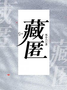 藏匿大结局免费阅读全文