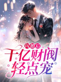 闪婚后，千亿财阀轻点宠全文阅读