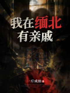 【新书】《我在缅北有亲戚》主角邓琳琳王军全文全章节小说阅读