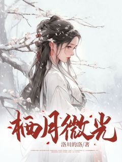 (无弹窗)小说栖月微光 作者洛川的洛