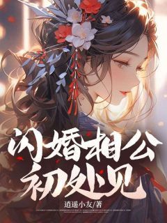 【都市爽文】沐欣秦凌闪婚相公初处见未删减版全集在线阅读