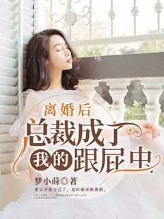 夏时薇陆擎深小说全集免费在线阅读（离婚后，总裁成了我的跟屁虫）