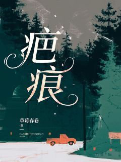 《疤痕》方早沈确第4章 离婚大结局在线试读