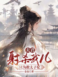 精品《阿锦衡儿傅原》小说免费试读 夫君射杀我儿只为救太子妃小说全集无删减全文