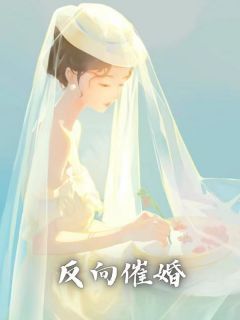 刘盼儿刘耀祖小说 《反向催婚》小说全文精彩阅读  第1章