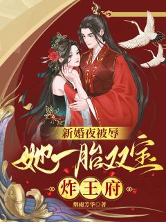 《新婚夜被辱，她一胎双宝炸王府》小说完结版在线试读 慕云澜楚寒霄小说阅读