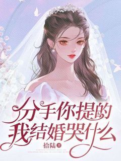 前女友勿扰，哥老婆超好赵宸书名叫什么_赵宸苏若薇