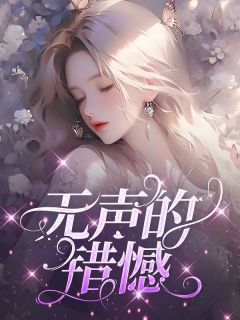 《无声的错憾》老李儿子章节列表在线试读  一、