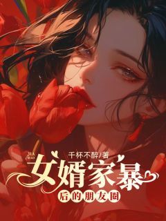 《女婿家暴后的朋友圈》王媛陈世杰 第1章章节列表在线试读