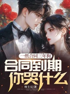 《王云峰林如烟》小说全文在线阅读 《王云峰林如烟》最新章节列表