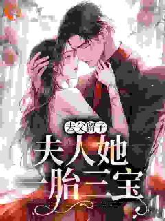 《去父留子，夫人她一胎三宝》夏凉意顾延霆第20章全文在线阅读