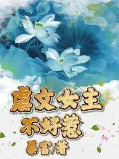 《朱晓曼白屿琛雪瑶》虐文女主不好惹章节列表在线试读 第2章