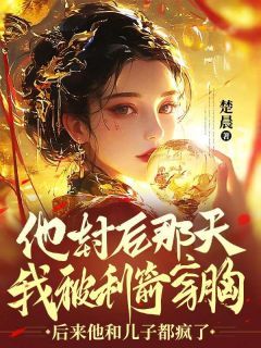 林鸢白祁章节目录 《他封后那天我被利箭穿胸，后来他和儿子都疯了》全文阅读