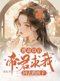 《逃命以后，帝君求我回去救孩子》司临云栖章节精彩阅读  第一章 追杀