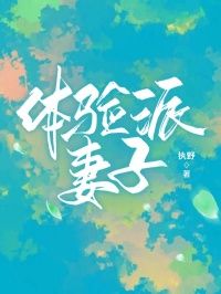 顺安林挽全章节免费阅读 主角体验派妻子完结版