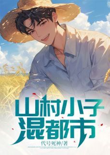 山村小子混都市书名叫什么_杨辰杨媚儿