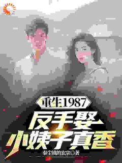 重生1987，反手娶小姨子真香小说试读 李峰杨雪小说全文章节列表