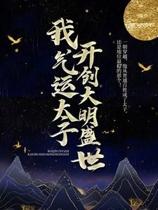 《我，气运太子，开创大明盛世》全文在线试读 第2章