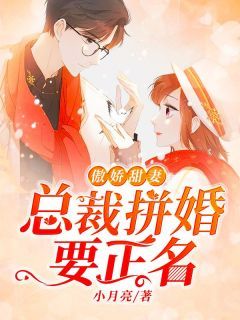 精彩章节《苏沫郁司辰》傲娇甜妻：总裁拼婚要正名全文免费阅读