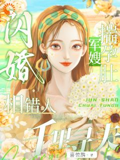 《苏念念顾知野》小说完整版在线阅读（主角闪婚相错人，军嫂揣孕肚千里寻夫）