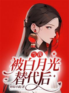 精品热文《当我被白月光替代后》苏木陆时小说全文完整版在线阅读无删减