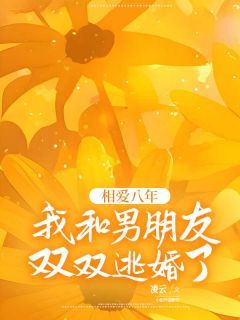 《相爱八年，我和男朋友双双逃婚了》沈乔陆云泽沈亚茹 第一章完结版在线试读