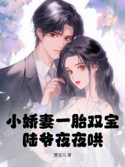 精品《叶声声陆时宴》小说在线阅读 小娇妻一胎双宝，陆爷夜夜哄！小说全集无删减全文