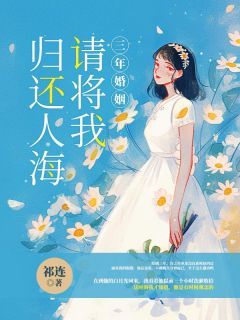 《三年婚姻，请将我归还人海》之洛许之年章节精彩阅读 主角：之洛许之年  2