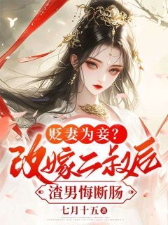 《贬妻为妾？改嫁二叔后渣男悔断肠》小说全文精彩试读 苏锦月宋行渊小说阅读