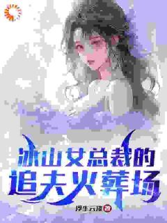 冰山女总裁的追夫火葬场林月嫣江彻全本在线阅读