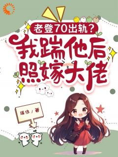 热文《老登70出轨？我踹他后照嫁大佬》江海棠郑文彬全文无弹窗阅读