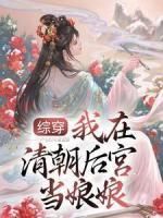 希瑶康熙《综穿：我在清朝后宫当娘娘》全文及大结局精彩试读