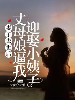 《陈正豪袁玲雅》全文阅读 妻子去世后，丈母娘逼我迎娶小姨子小说章节目录