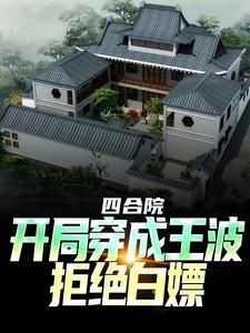 四合院：从给傻柱十个大比兜开始全文免费阅读 王波雨水小说《四合院：从给傻柱十个大比兜开始》章节精彩章节