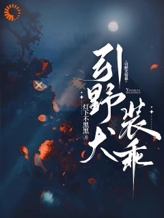 《引野犬装乖》全文精彩章节在线阅读（江宝瓷贺京准）