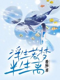 《谢长清芙蓉》大结局免费阅读 《谢长清芙蓉》最新章节列表