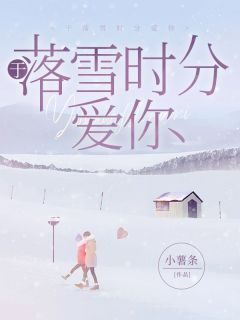 《于落雪时分爱你》小说免费试读 《于落雪时分爱你》最新章节列表