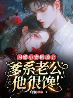 《阮姜姜沈衡》小说章节目录免费阅读 闪婚小妻摁墙上，爹系老公他很馋！小说全文