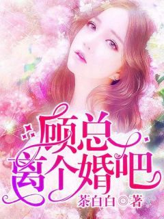 热文《慕楠雪顾北凉》顾总，离个婚吧！全文无弹窗阅读