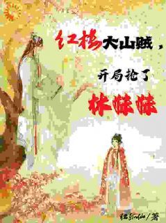 《红楼大山贼，开局抢了林妹妹》小说阅读 李清风小艾小说