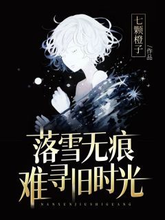 《落雪无痕，难寻旧时光》小说免费阅读 《落雪无痕，难寻旧时光》最新章节列表