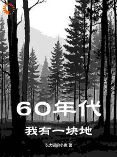 《60年代：我有一块地》完结版精彩阅读 第1章