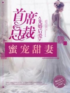 《苑锦沈白》小说大结局精彩阅读 先婚后爱：首席总裁蜜宠甜妻小说全文