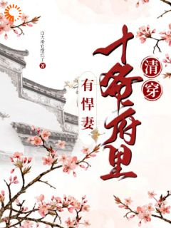 清穿：十爷府里有悍妻小说全文精彩章节在线阅读（诺敏胤䄉）