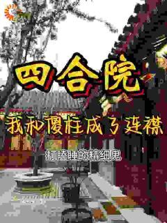 《四合院：我和傻柱成了连襟儿》小说全文免费试读 《四合院：我和傻柱成了连襟儿》最新章节列表