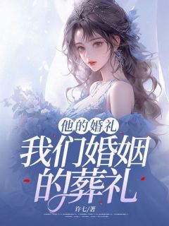 《他的婚礼，我们婚姻的葬礼》小说全文免费阅读 陈乐珊宋琛小说全文